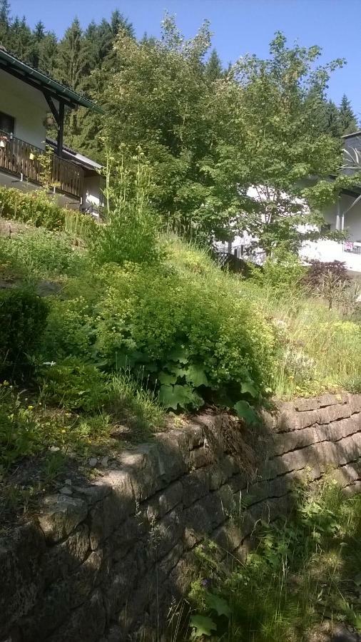 Haus Talblick Villa Schmallenberg Buitenkant foto