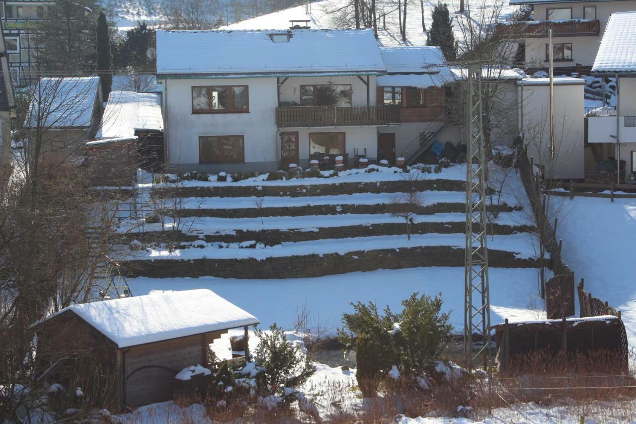 Haus Talblick Villa Schmallenberg Buitenkant foto